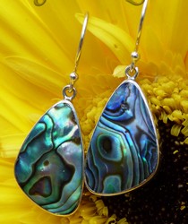 paua earrings